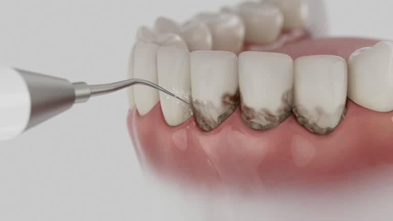 Reliable Dental contractor in North Braddock, PA by Dentist Open Now
